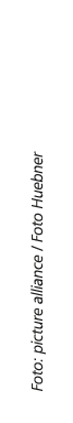 Foto: picture alliance / Foto Huebner